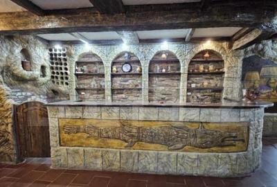 Restaurant & motel Taverna Dacilor de vanzare, zona Micro 3 - 1