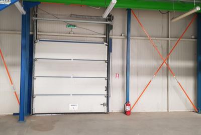 Spațiu industrial, de 700 mp, în Mogoșoaia - 5