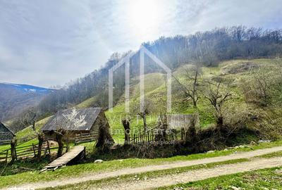 Teren de 12167 mp, în Câineni - 11