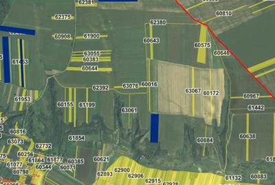 Teren de 60500 mp, în Urechești - 8