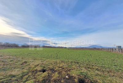 Teren de 5435 mp, în Hălchiu