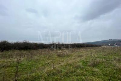 Teren intravilan pentru constructii de vanzare in Feleacu - 3