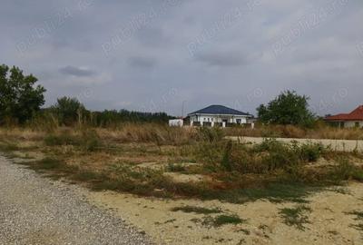 Teren de 5000 mp, în Tărtășești - 4