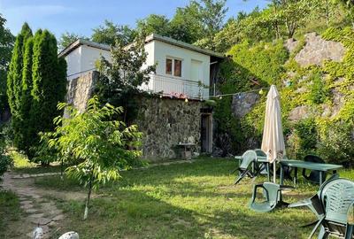 Vila deosebita, 2 corpuri P+M si P+1E, Margineni-Bacau - 17