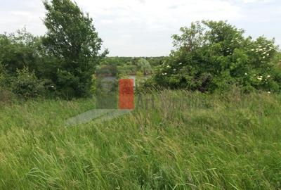 Teren Buftea cu iesire la lac - 24