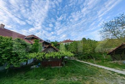 Casă cu 5 camere cu Teren 40000 Mp în Șard - 12
