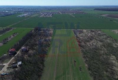 Teren de vanzare, Sabareni - 7