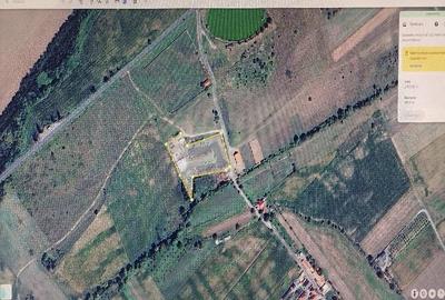 Casă cu Teren 7134 Mp în Periferie