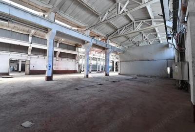 Teren industrial 35.000 mp cu hale de productie Craiova - 8