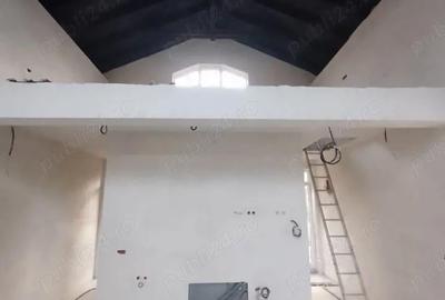 Casă cu Teren 1500 Mp în Variașu Mare - 1