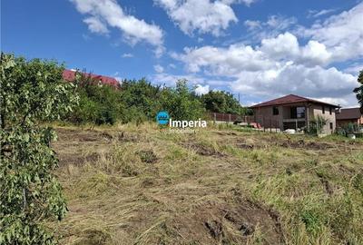 Tomesti Chicerea, 1183 MP teren intravilan cu utilitati in apropiere! - 3