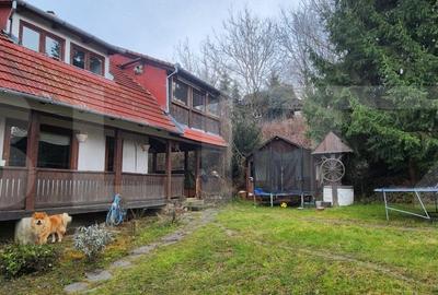 Ocazie Unica! Casa in Livezeni cu 1600 mp Teren cu o a doua casa pe proprietate - 2