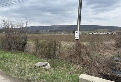 Teren de 720 mp, în Plavia - 2