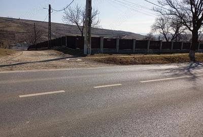 Teren de 1000 mp, în Vulturi - 3