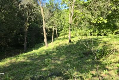 Vand casa+teren 5300 mp Breaza de Sus Nistoresti Prahova - 3