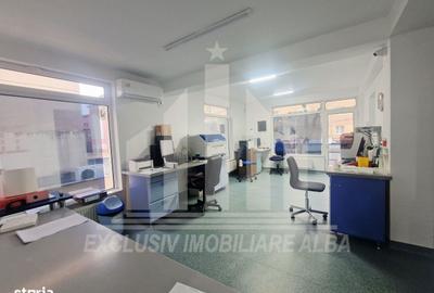 Spațiu comercial, de 400 mp, în Cetate - 9