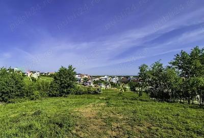 Teren de 5600 mp, în Hințești - 2