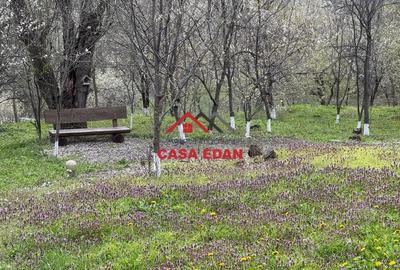 Casa in Bustenari-- 199.000e - 11