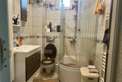 Casa de vzanzare, 240 mp, Zona Botizului - 17