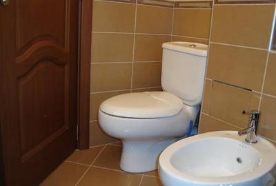 Apartament cu 2 camere decomandat în Turnișor - 4