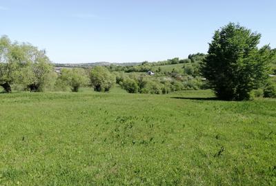 Teren de 1600 mp, în Cacica - 7