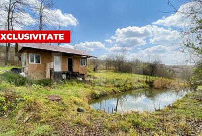 Teren intravilan 1150 mp cu cabana si balta, Sat Craesti - 1