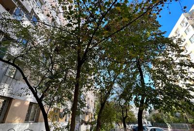 Nicolae Grigorescu 2 Camere Parter Inalt Instalatii Schimbate 5 Min Metrou - 13