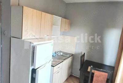 Apartament 1 camera spatios, mobilat si utilat, Piata Centrala - 3
