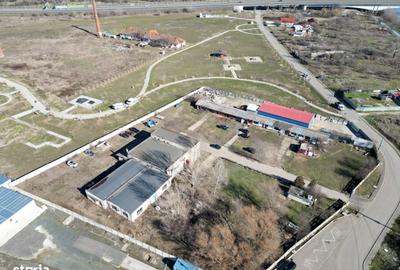 Teren de 7533 mp, în Pârneava - 8