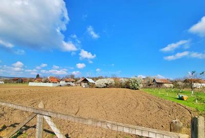 Casa Saniob - 2000 mp teren - 7