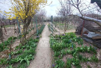 Casă individuală cu 5 camere cu Canalizare în Șag - 20