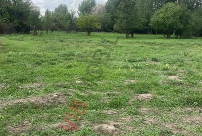 Teren extravilan de 8100 mp, în Est