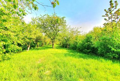 Teren agricol extravilan de 3200 mp, în Rășinari - 2