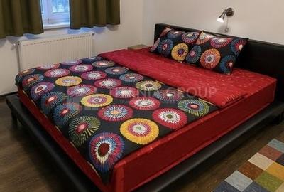 Duplex cu 5 camere cu Canalizare în Bunloc - 3