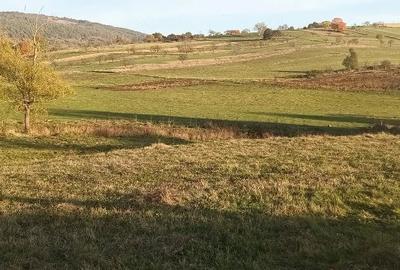 Casă cu Teren 7000 Mp în Fâșca