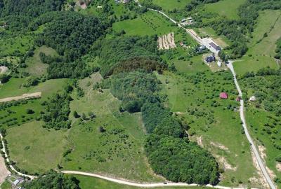 Teren intravilan de vanzare 12,700mp Codru Butesii / Stra... - 2