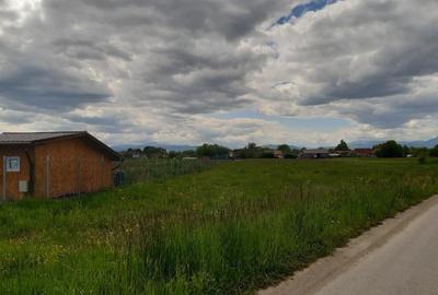 Teren intravilan 5000 mp construibil zona rezidentiala - 11