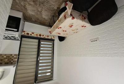 Apartament cu 2 camere decomandat în Universitate - 10
