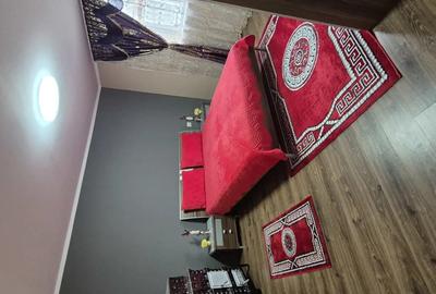 Casa noua Carpinis timis - 4