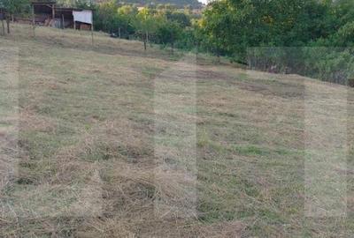 Teren de 800 mp, în Central - 9