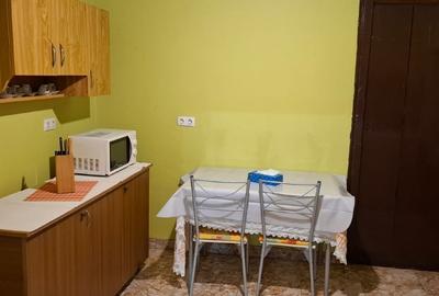 Casă individuală cu 3 camere cu Teren 2850 Mp în Comloșu Mare - 7