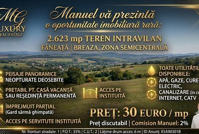 Teren agricol intravilan de 2623 mp, în Est - 12