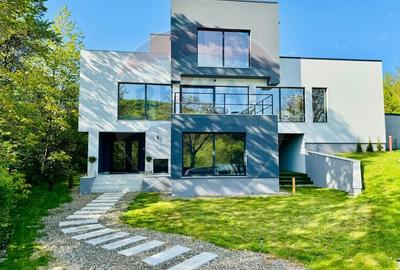 Proprietate specială, de 280 mp, în Almaș - 1