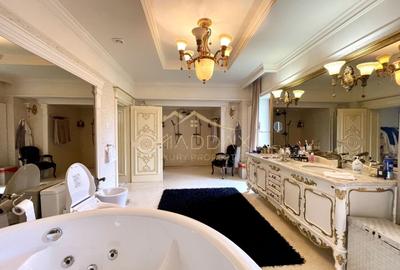 Casă individuală cu 15 camere cu Canalizare în Lacul Tei - 22