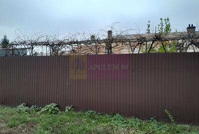 Branesti / IF - casa batraneasca din caramida cu teren de vanzare - 36