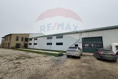 Proprietate specială, de 430,000 mp, în Adunații-Copăceni - 2