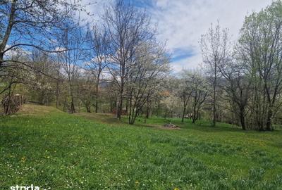 Teren de 12000 mp, în Ghioșești - 10