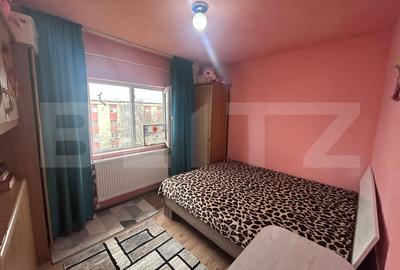 Apartament cu 2 camere semidecomandat, mobilat în Craiovița Nouă - 3