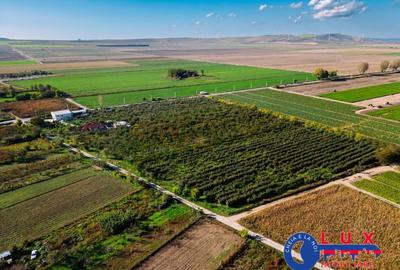 Teren de 44999 mp, în Sabangia - 12