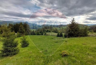O fereastra catre cer teren de vis in Fundata, la ... - 31